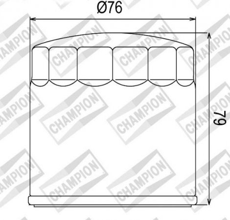Tepalo filtras CHAMPION 100609135 COF063