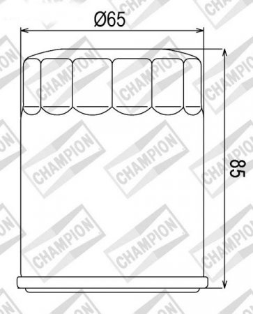 Tepalo filtras CHAMPION 100609685 COF048