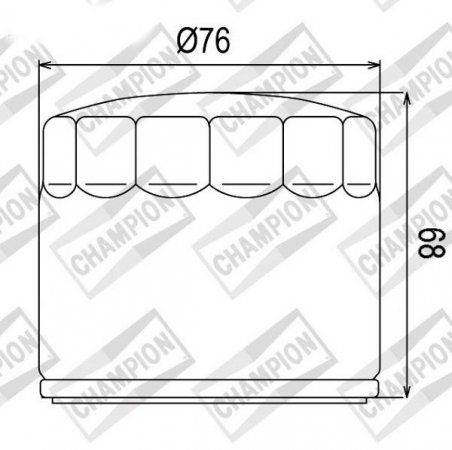 Tepalo filtras CHAMPION 100609725 COF072C