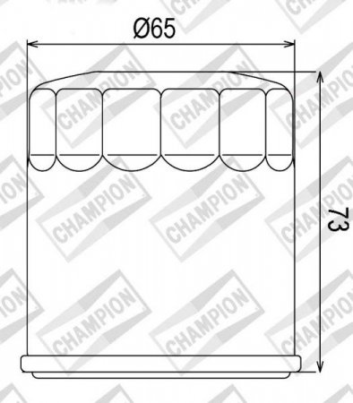 Tepalo filtras CHAMPION 100609745 COF077