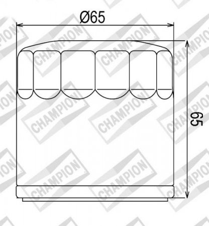 Tepalo filtras CHAMPION 100609765 COF453