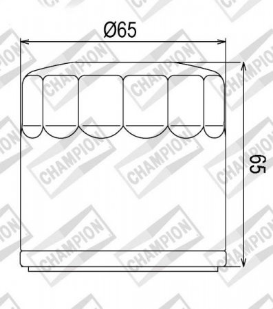 Tepalo filtras CHAMPION 100609795 COF454