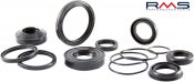 Oil seal kit RMS 100640020