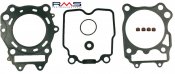 Engine TOP END gaskets RMS 100689130