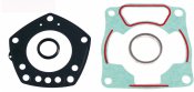 Engine TOP END gaskets RMS 100689241