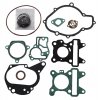 Engine gasket set RMS 100689820