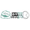 Engine gasket set RMS 100689851