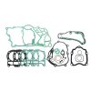 Engine gasket set RMS 100689871