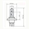 Lemputė RMS 246510181 FLOSSER , mėlynos spalvos hs1 12V 35/35W