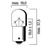 Lemputė RMS 246510456 FLOSSER , oranžinės spalvos BAU15S T16 12V-10W