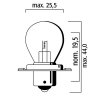 Lemputė RMS 246510476 FLOSSER 6V 15W sb 25 p26s