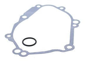 Ignition cover gasket WINDEROSA