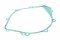 Ignition cover gasket WINDEROSA