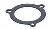 Graphite plate gasket MIVV 50.73.028.1 for big flange (3holes)