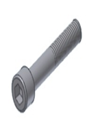 Screw MIVV 50.73.180.1 M10 X 80