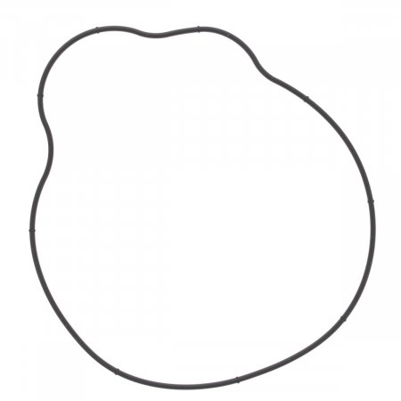 Ignition cover gasket WINDEROSA skirtas ATV POLARIS Sportsman 600 4x4 twin (2004-2005)