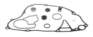 Water Pump Rebuild Kit WINDEROSA