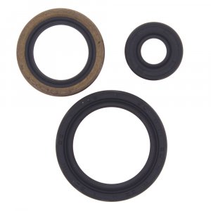 Engine Oil Seal Kit WINDEROSA