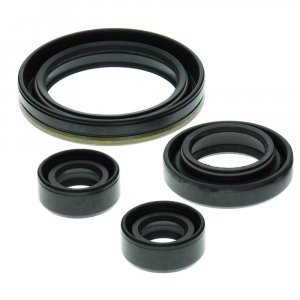 Engine Oil Seal Kit WINDEROSA