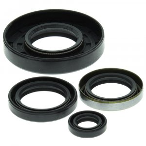 Engine Oil Seal Kit WINDEROSA