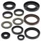 Engine Oil Seal Kit WINDEROSA