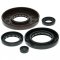 Engine Oil Seal Kit WINDEROSA