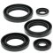 Engine Oil Seal Kit WINDEROSA