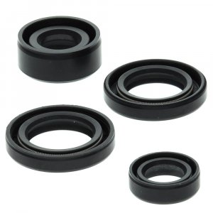 Engine Oil Seal Kit WINDEROSA