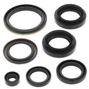 Engine Oil Seal Kit WINDEROSA