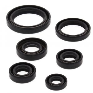 Engine Oil Seal Kit WINDEROSA