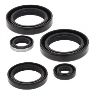 Engine Oil Seal Kit WINDEROSA