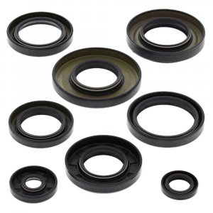 Engine Oil Seal Kit WINDEROSA