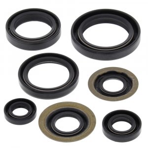 Engine Oil Seal Kit WINDEROSA