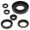 Engine Oil Seal Kit WINDEROSA