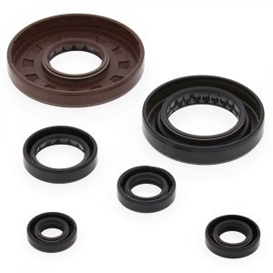 Engine Oil Seal Kit WINDEROSA