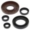 Engine Oil Seal Kit WINDEROSA