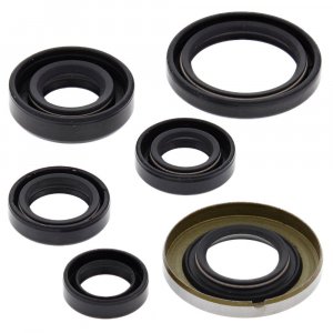 Engine Oil Seal Kit WINDEROSA