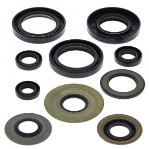 Engine Oil Seal Kit WINDEROSA