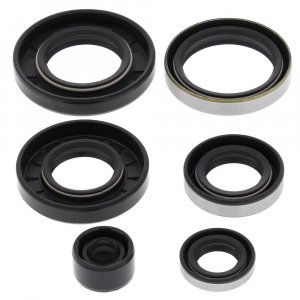 Engine Oil Seal Kit WINDEROSA