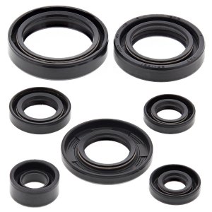 Engine Oil Seal Kit WINDEROSA