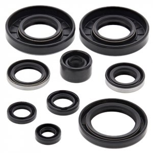 Engine Oil Seal Kit WINDEROSA