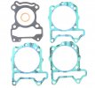 Engine gasket kit (cylinder+head+exhaust) ATHENA EG4806-036