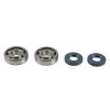 Alkūninio veleno atstatymo komplektas ATHENA P400250444082 (bearing and oil seal kit)