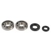 Alkūninio veleno atstatymo komplektas ATHENA P400485444038 (bearing and oil seal kit)